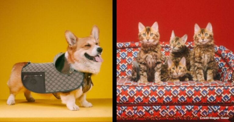 Modello Moto In Ferro Vintage - Scultura Artigianale Per Appassionati Di Motociclette - Foto 5